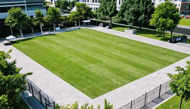 企业素质拓展套餐规划要点分析